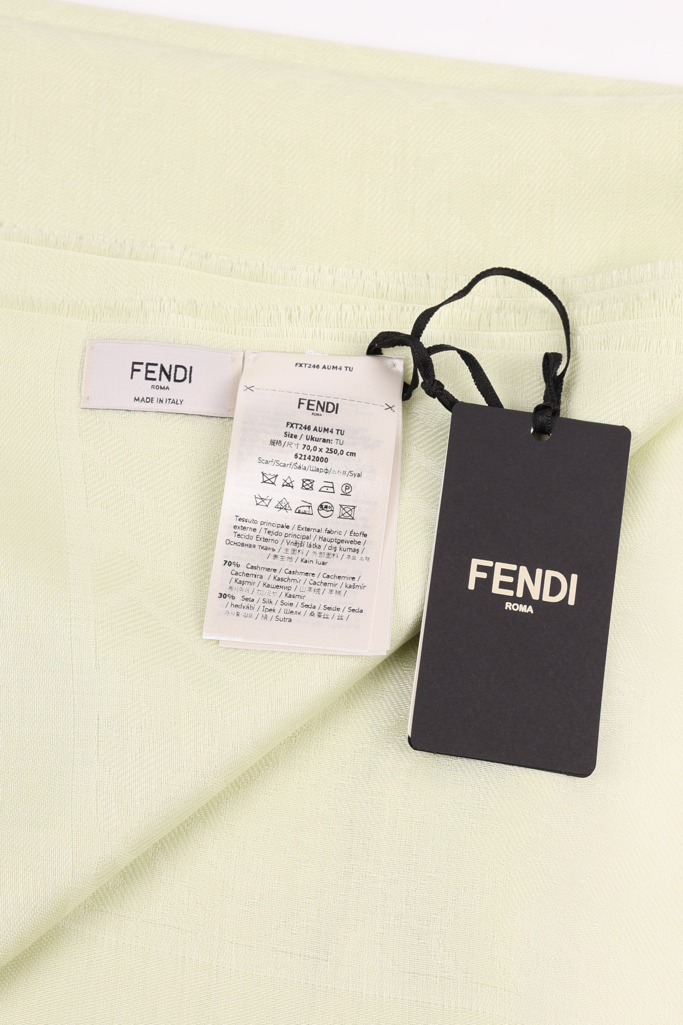 Fendi FF Lime 38