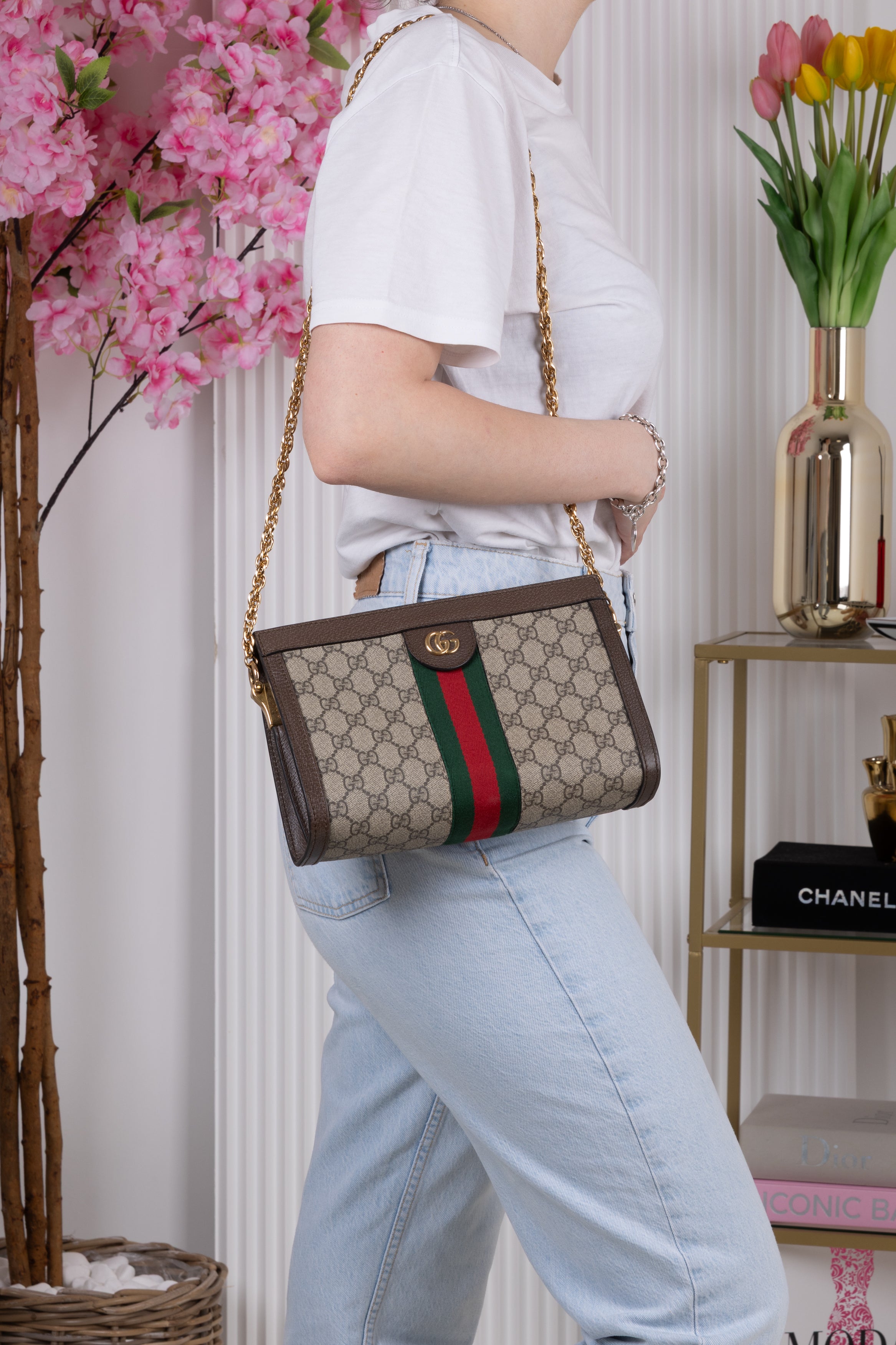 GUCCI OPHIDIA