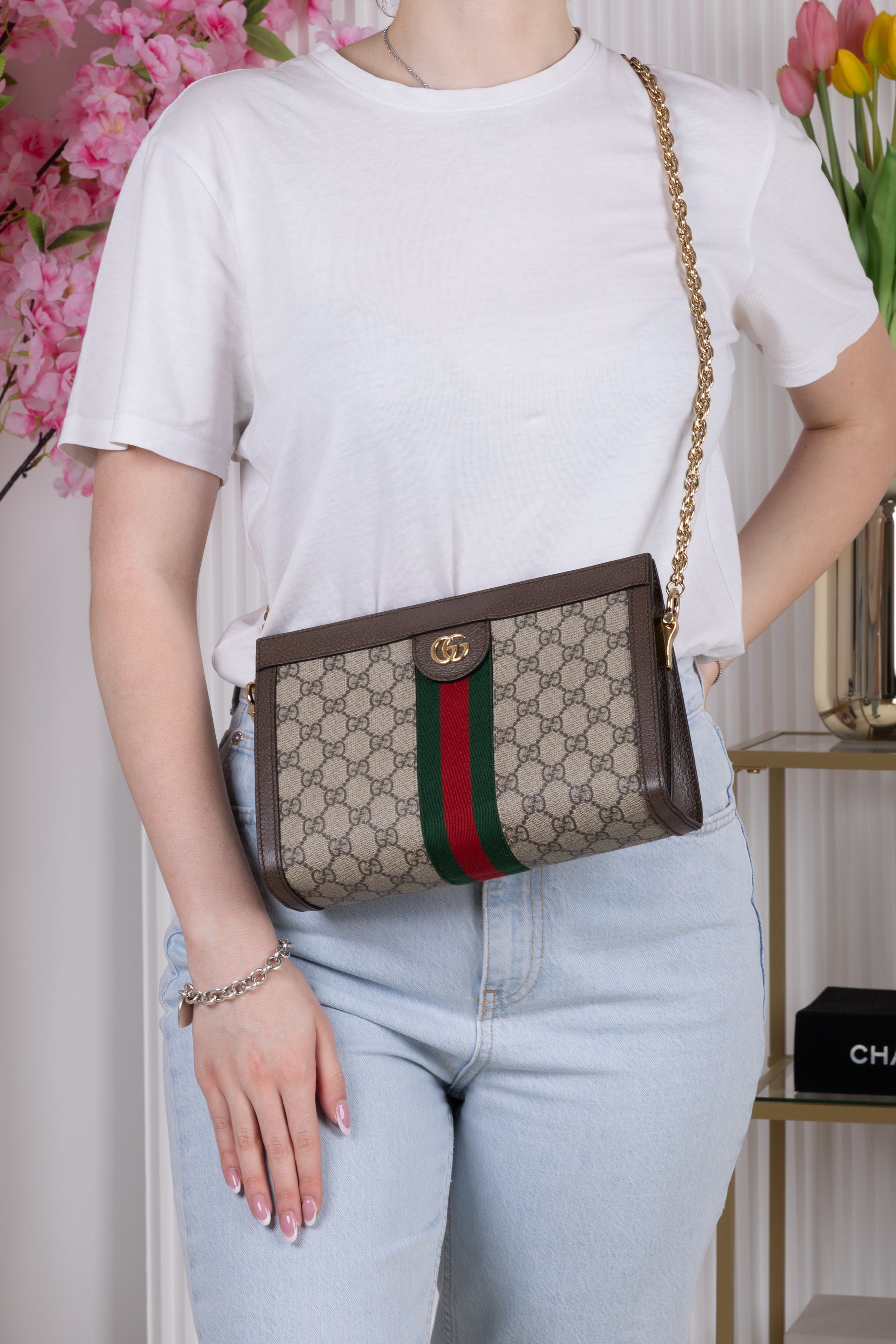 GUCCI OPHIDIA GG