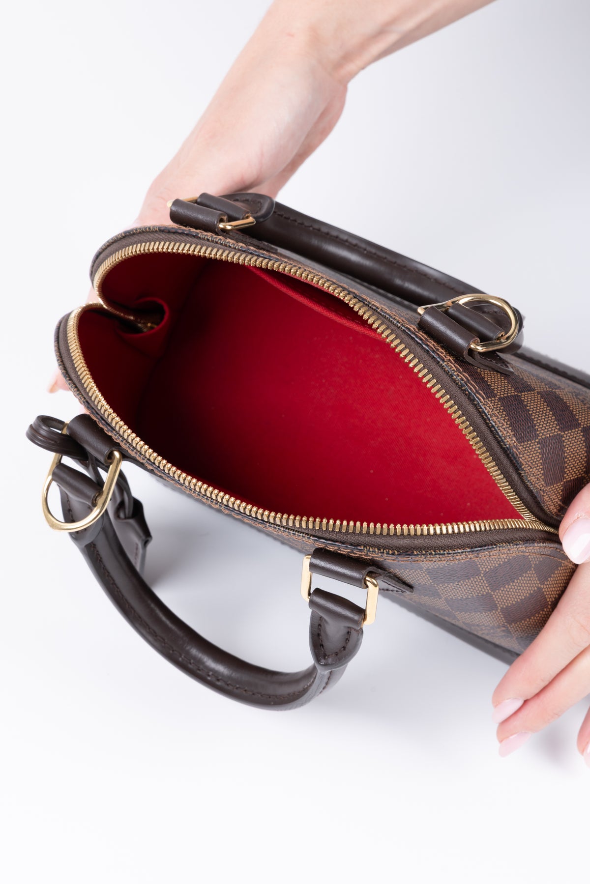 LOUIS VUITTON ALMA DAMIER