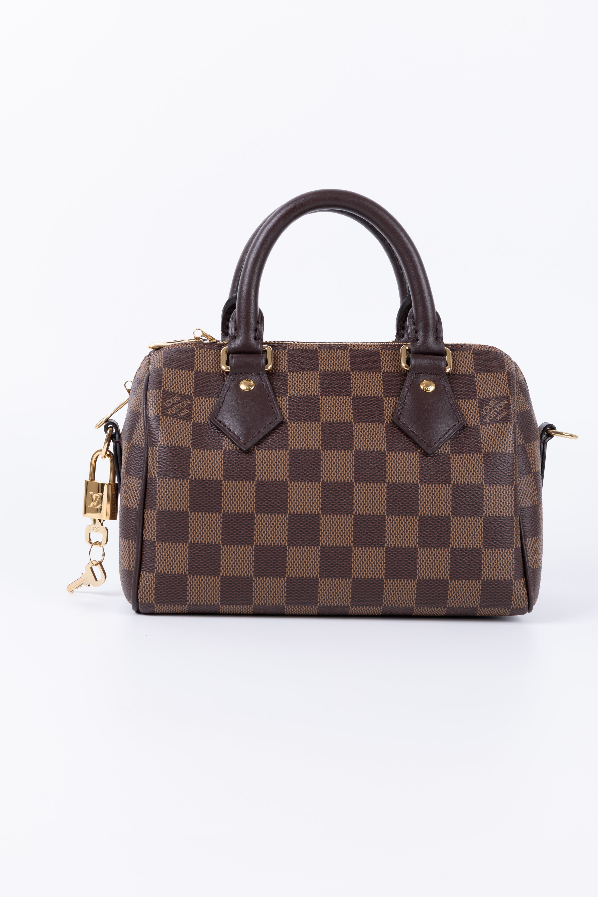 LOUIS VUITTON SPEEDY 20 IN DAMIER