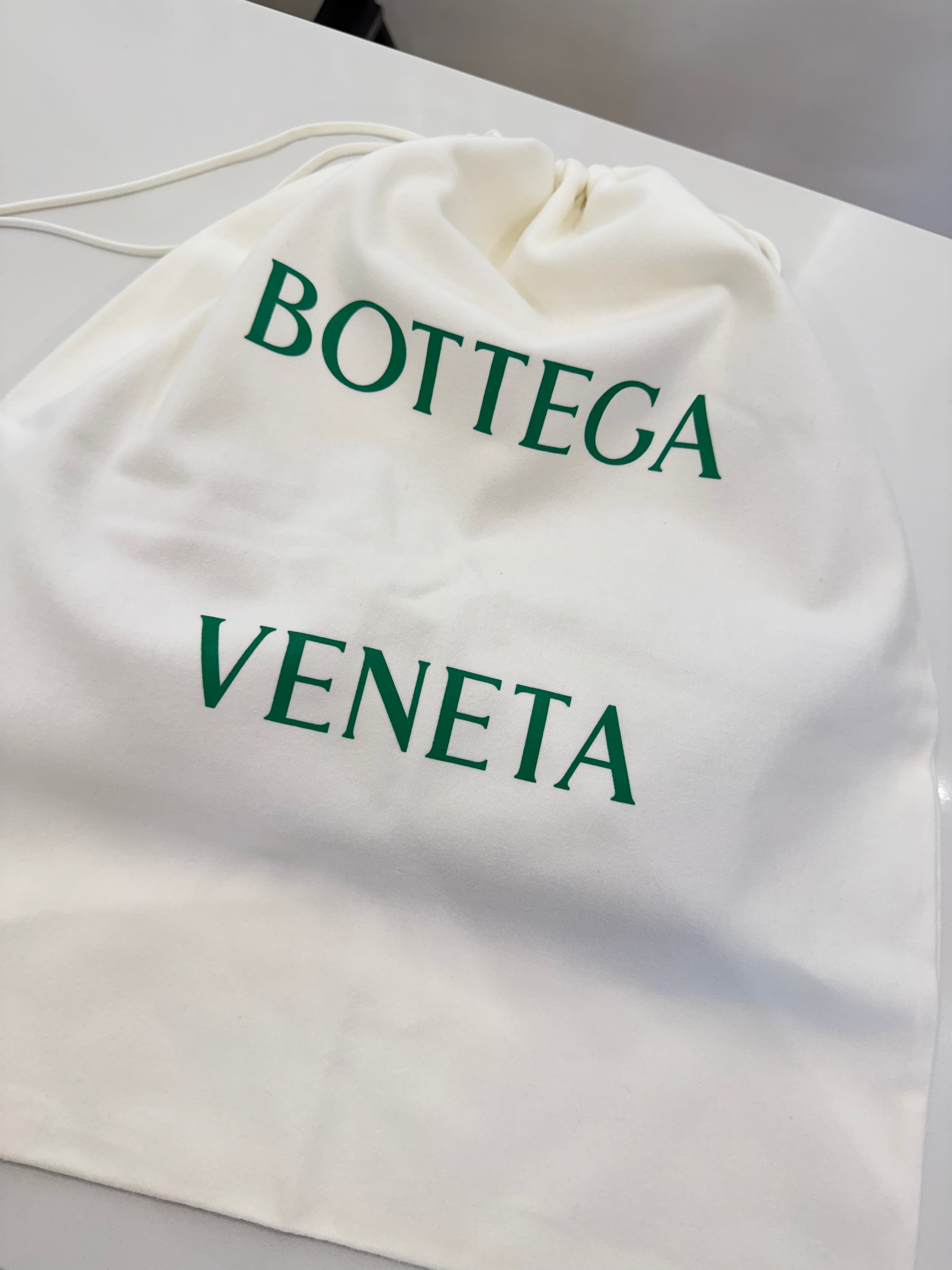 BOTTEGA VENETA ANDIAMO CLUTCH SEA SALT