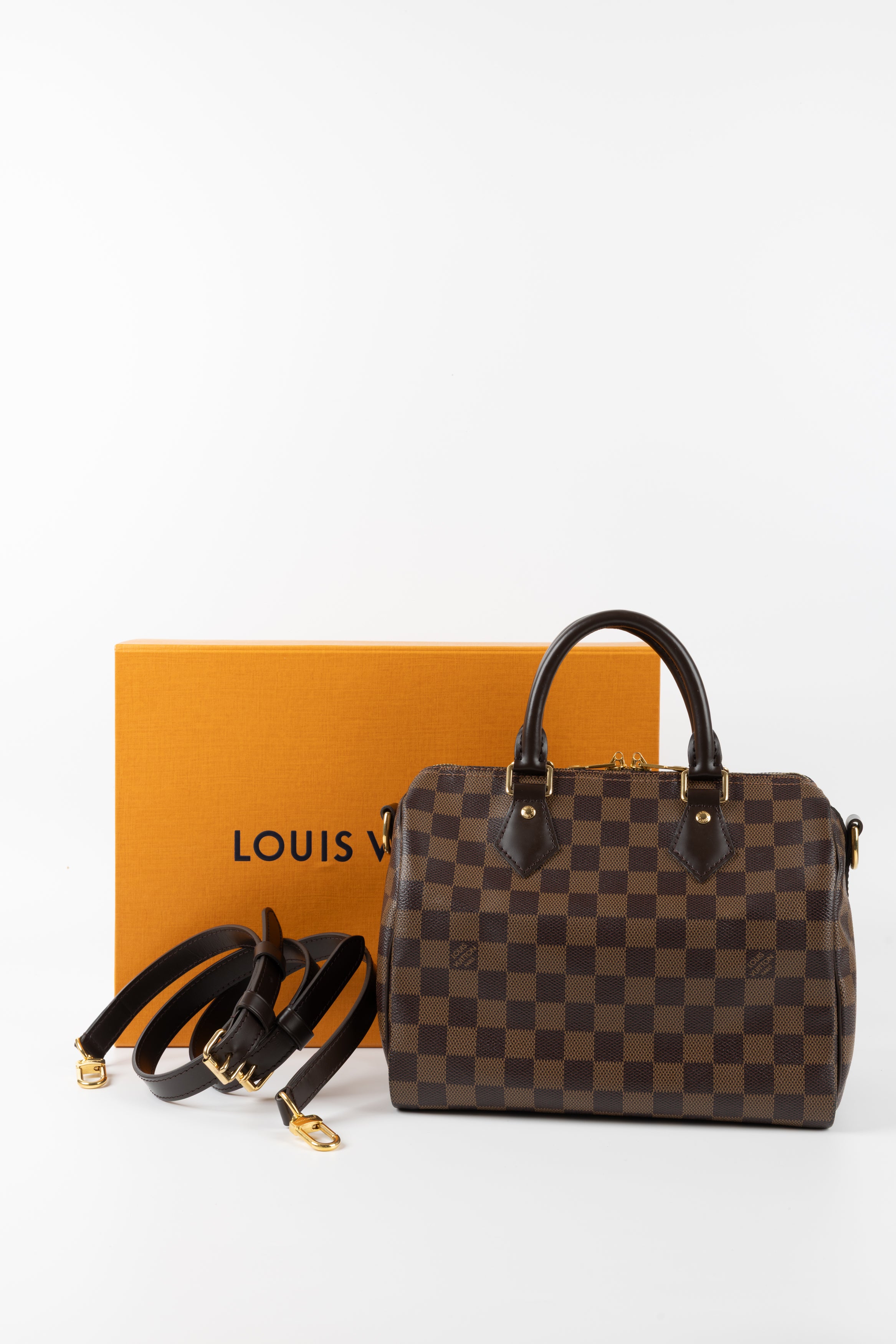 LOUIS VUITTON SPEEDY 25 IN DAMIER