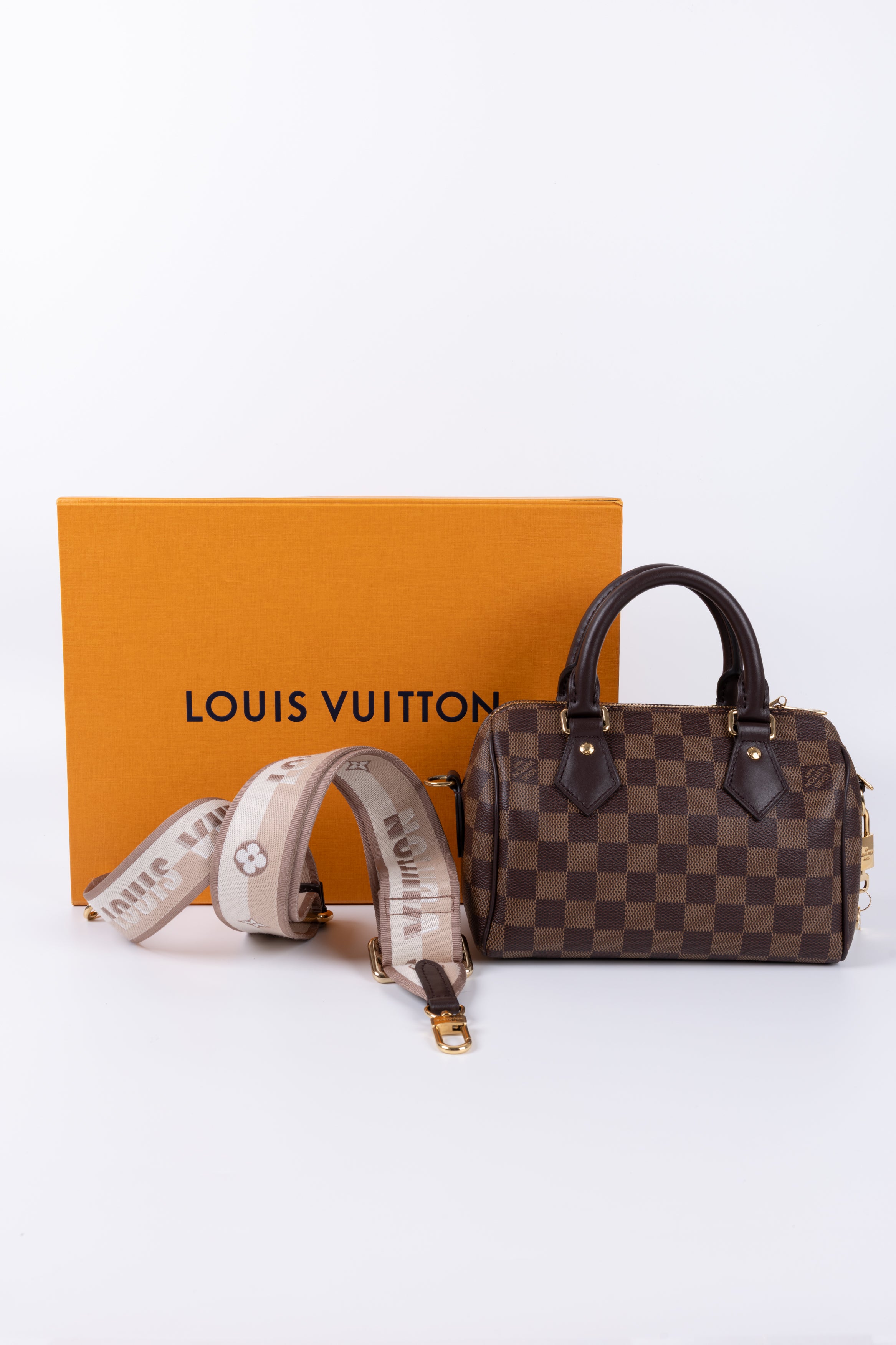 LOUIS VUITTON SPEEDY 20 IN DAMIER