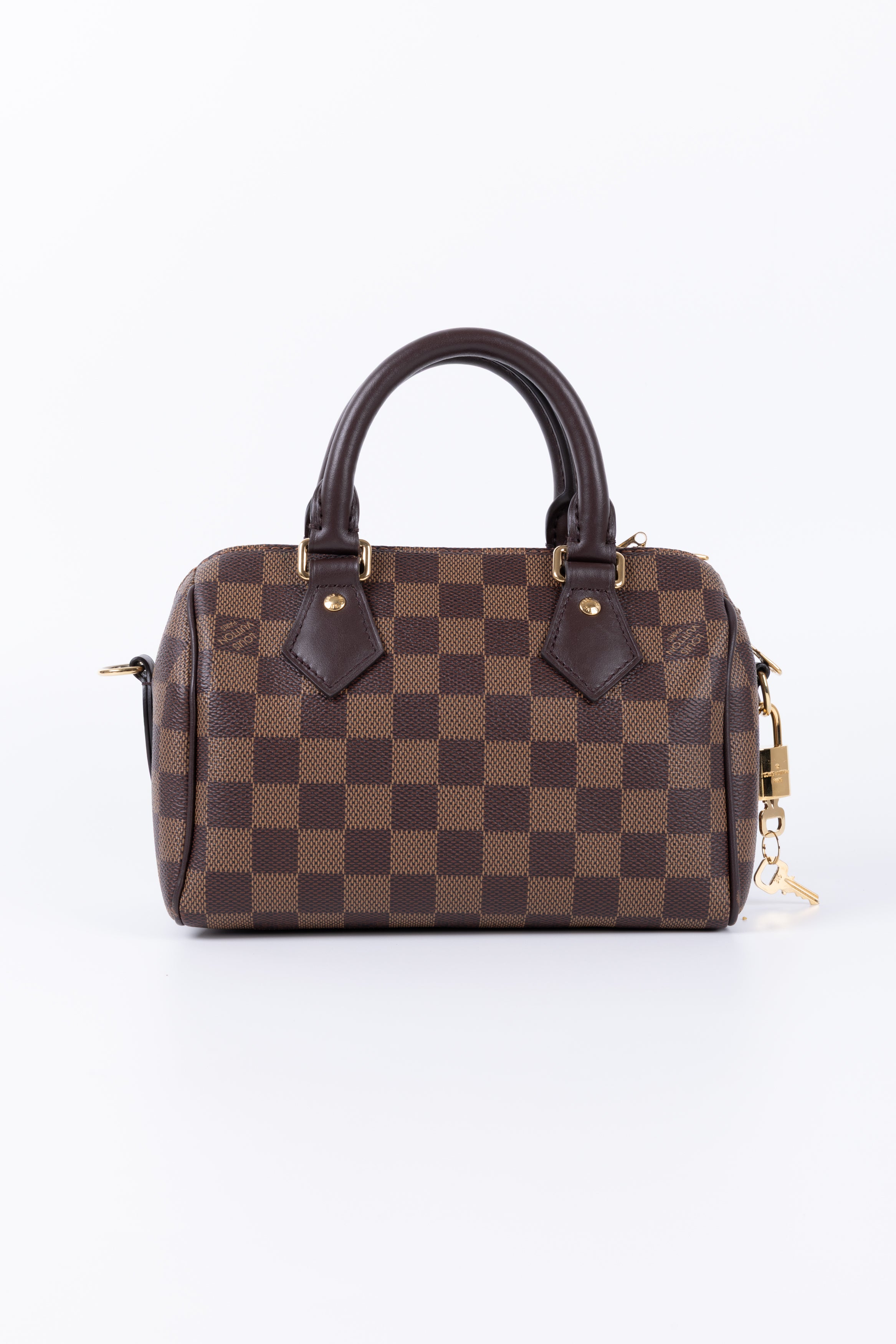 LOUIS VUITTON SPEEDY 20 IN DAMIER