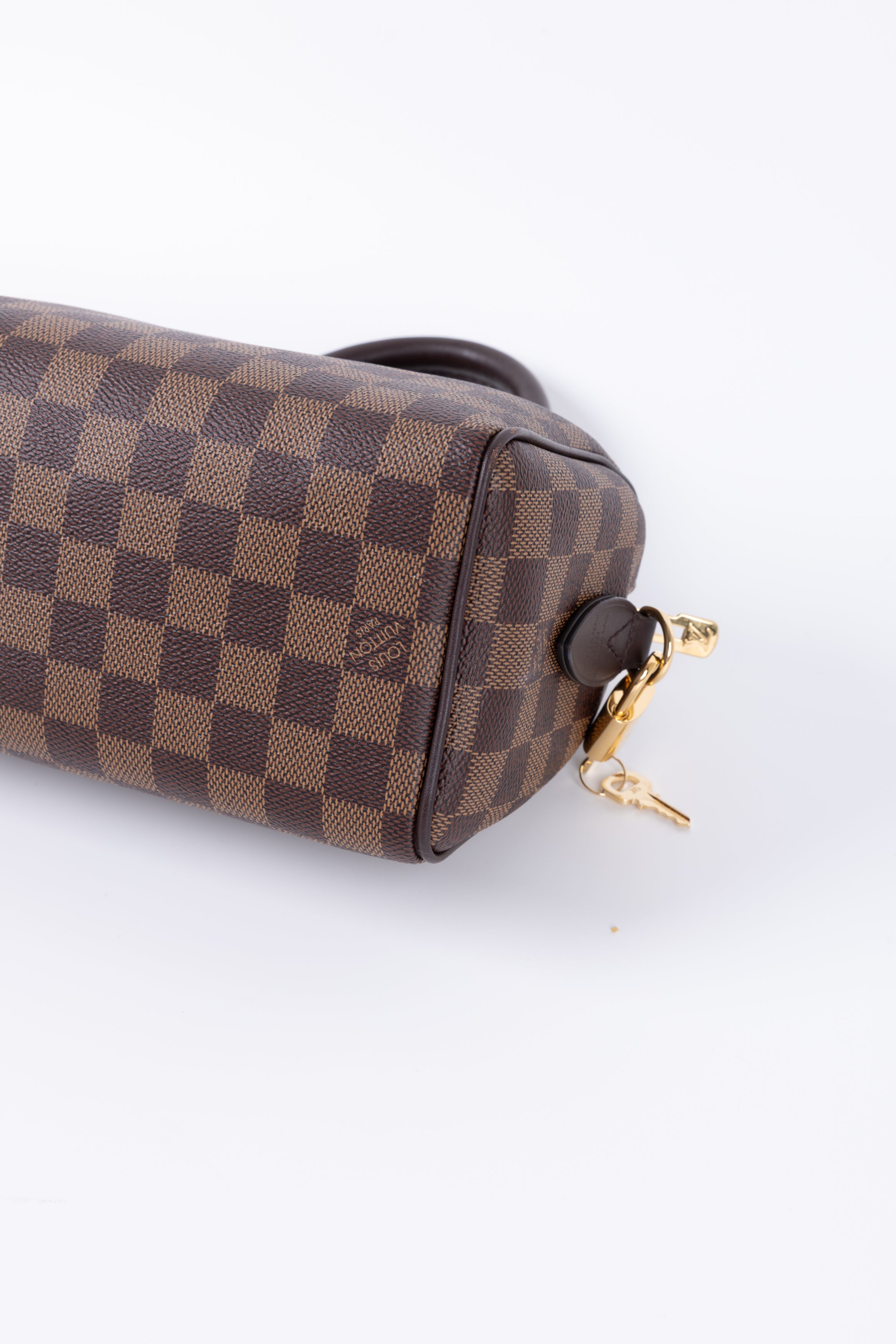 LOUIS VUITTON SPEEDY 20 IN DAMIER