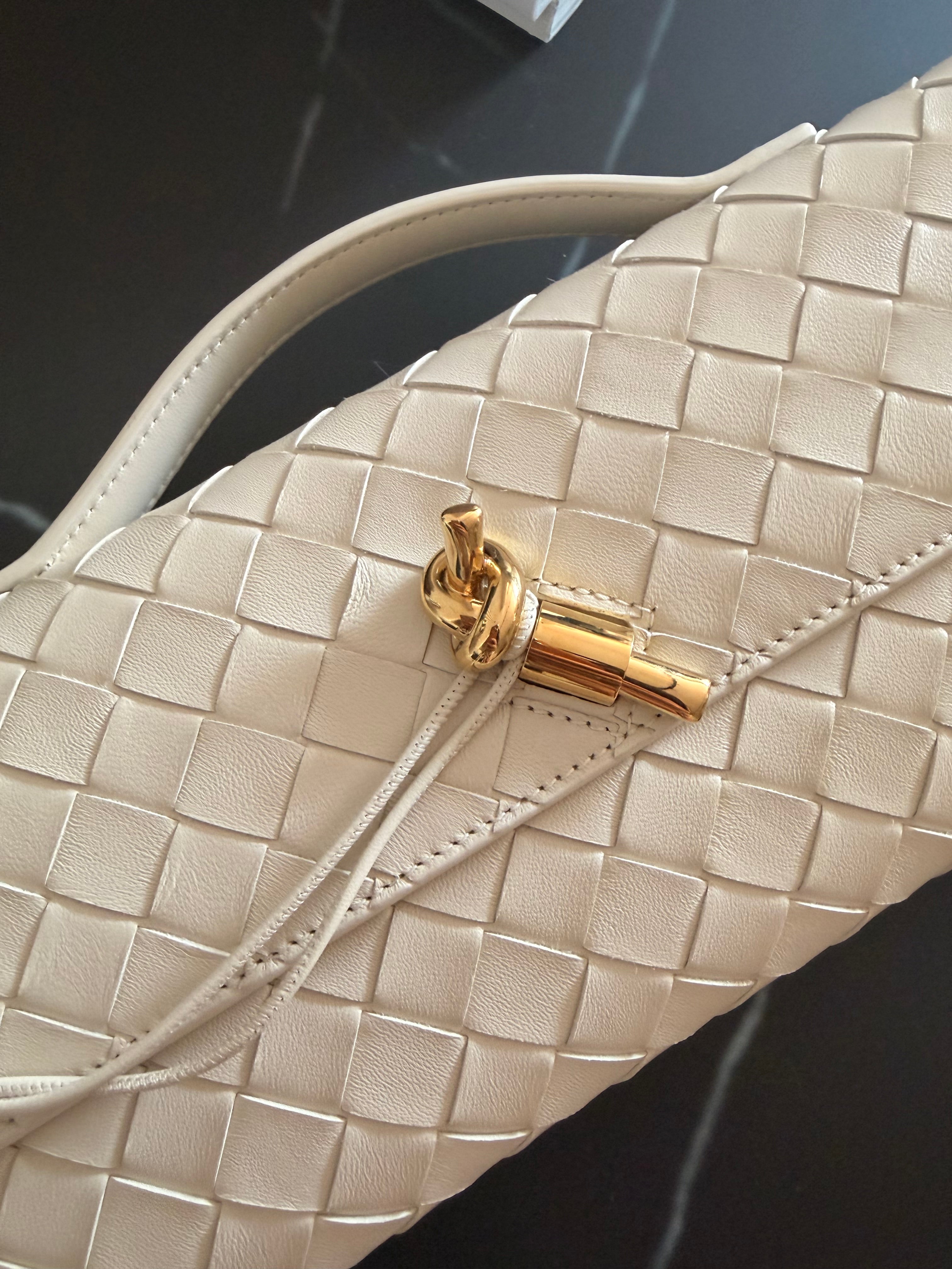 BOTTEGA VENETA ANDIAMO CLUTCH SEA SALT