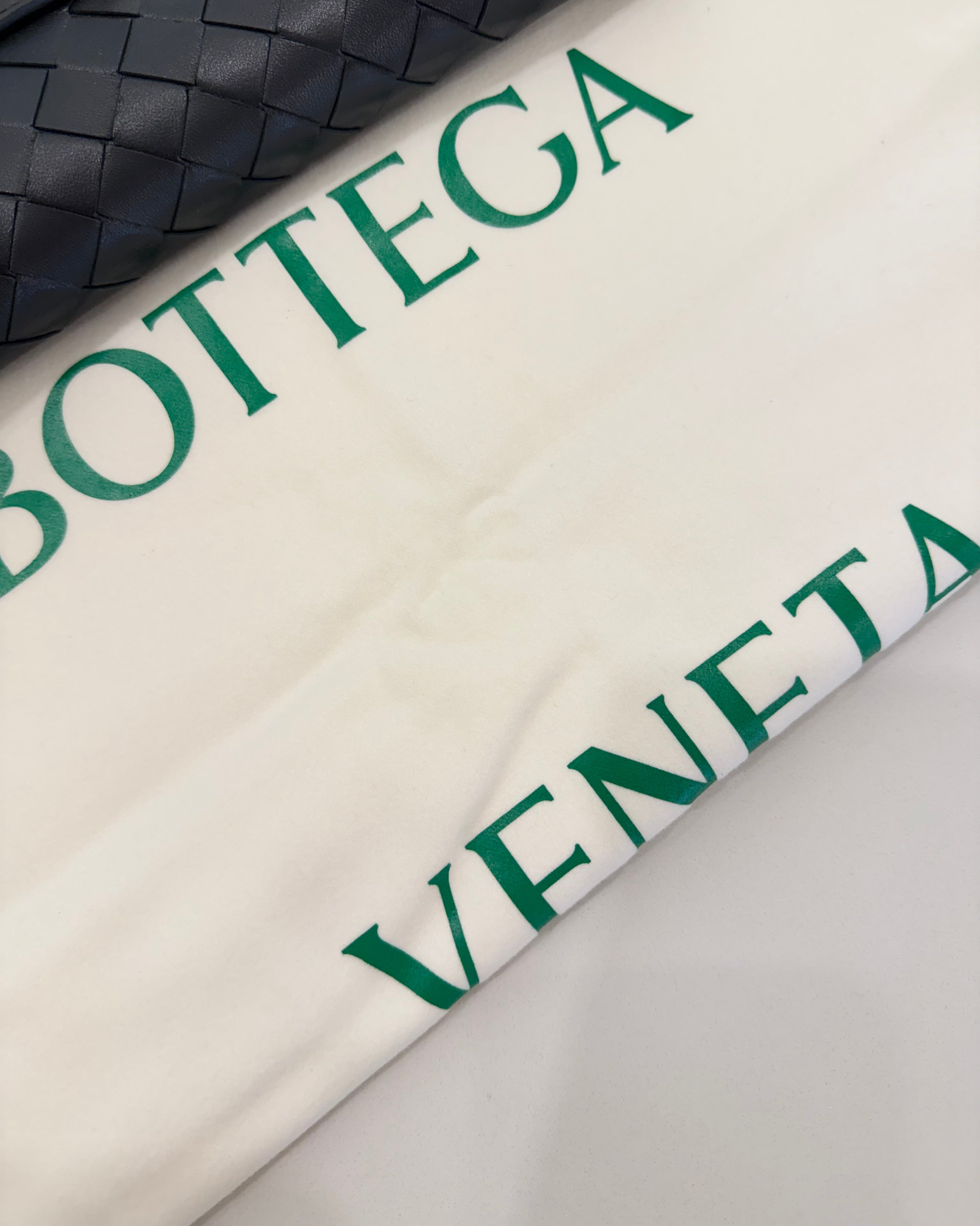 BOTTEGA VENETA ANDIAMO CLUTCH FONDANT