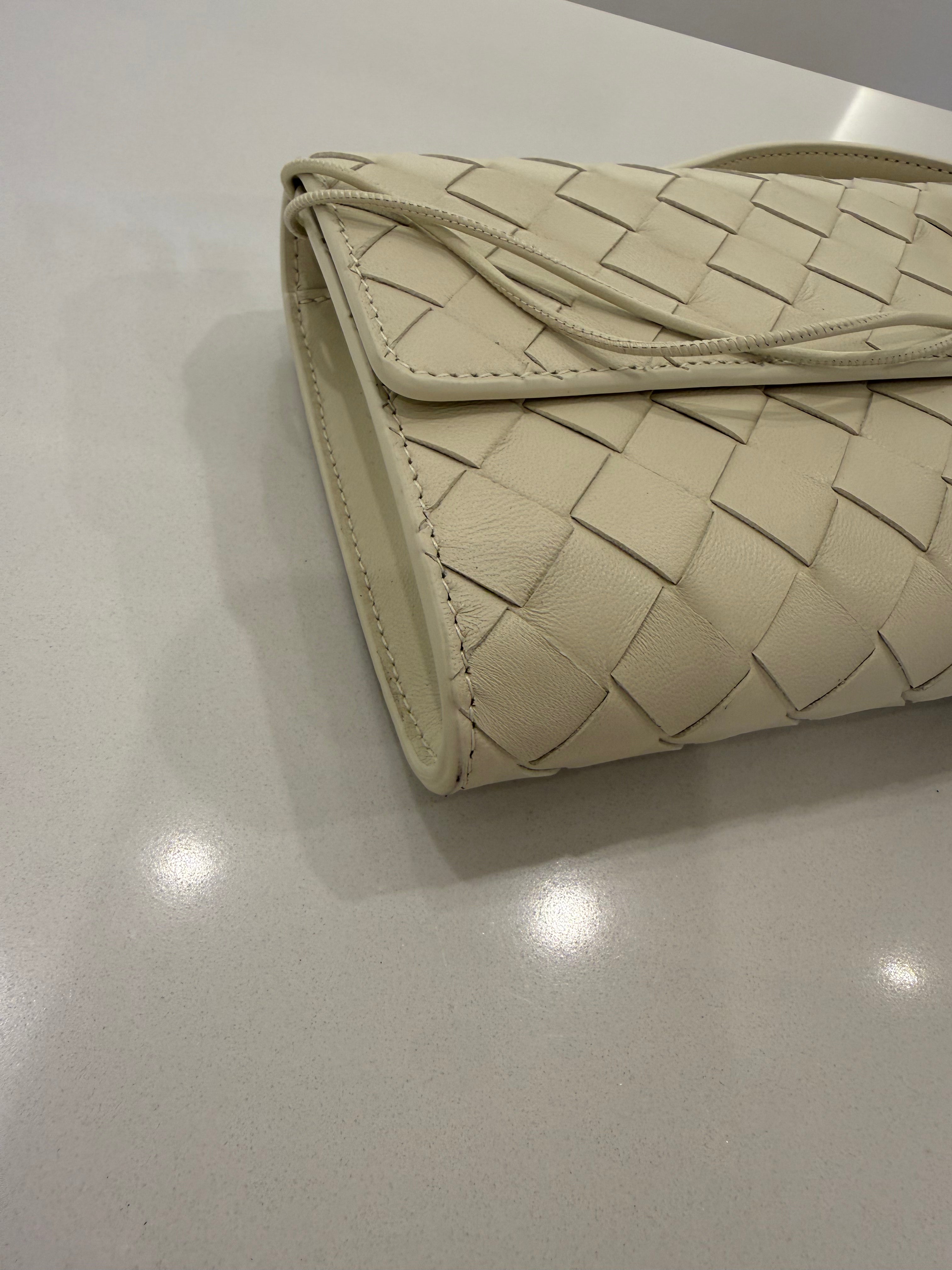BOTTEGA VENETA ANDIAMO CLUTCH SEA SALT